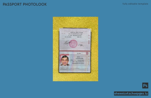 Russisches Standard-Passfoto – Beispielansicht